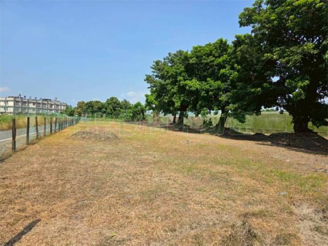 屏東高樹農地-13