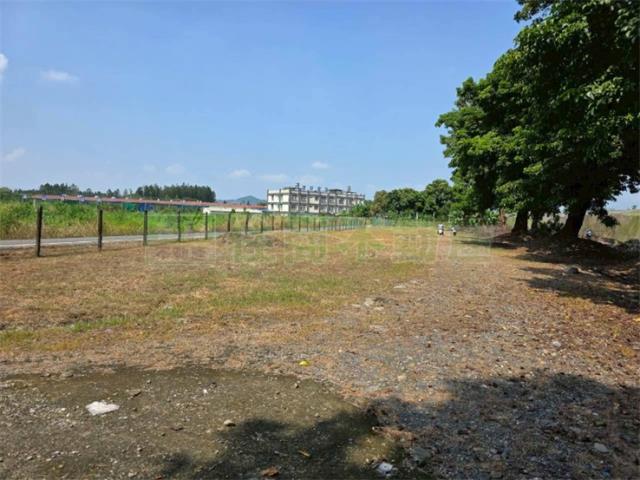 屏東高樹農地-14