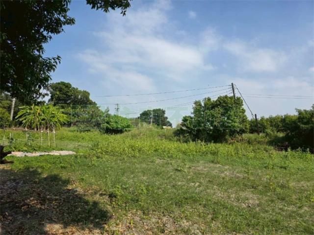 屏東高樹農地-6