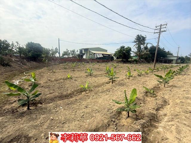 高雄路竹農地-10