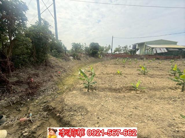 高雄路竹農地-11