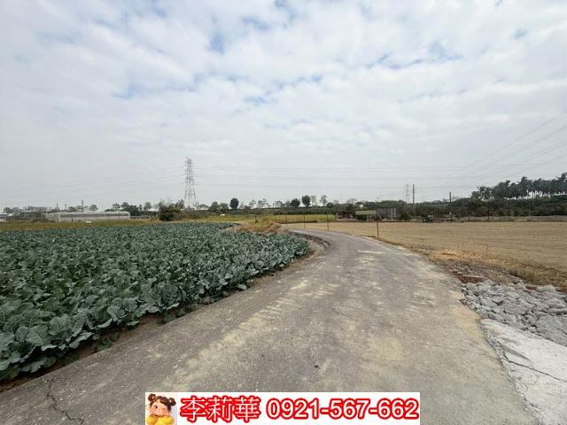 高雄路竹農地-5