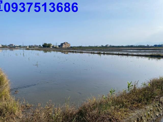 宜蘭壯圍農地-3