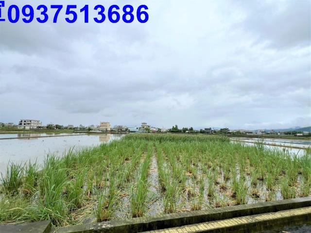 宜蘭礁溪農地-2