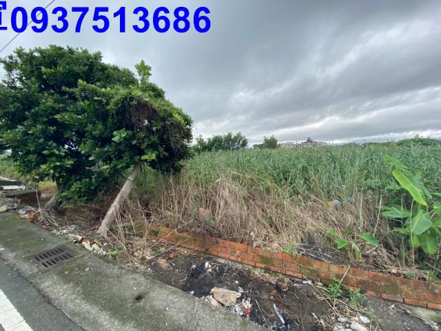 宜蘭壯圍農地-2