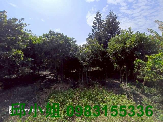 台灣房屋圓夢家土地達人呂昆佩台灣阿魯米嘉義縣市房地產農建地