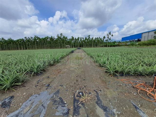 潮州農地-6