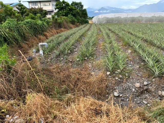 屏東農地-2