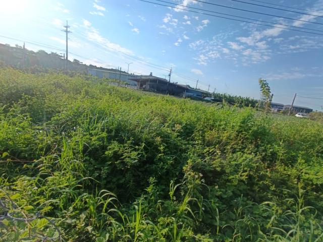 高雄農地-12