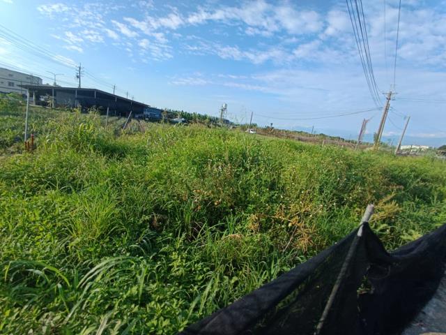 高雄農地-14