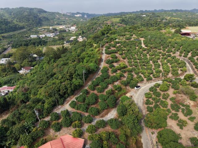 高雄大樹農地-0