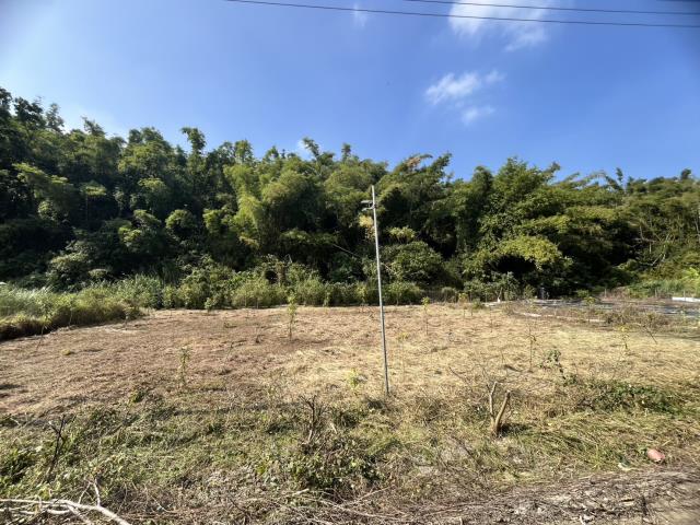 台南左鎮農地-4