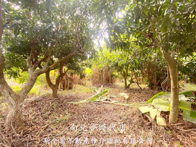 台南新化農地-2