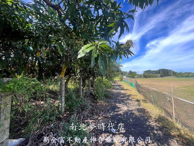 台南新化農地-6