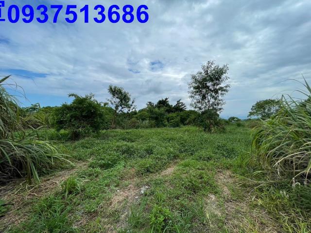 宜蘭宜蘭市農地-10