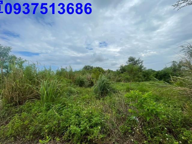 宜蘭宜蘭市農地-1