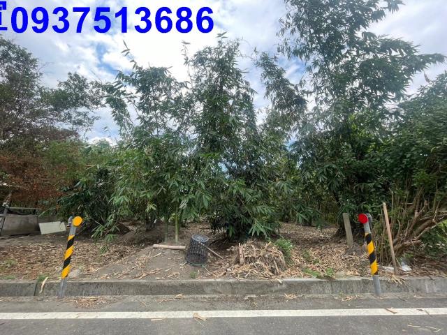 宜蘭宜蘭市農地-4