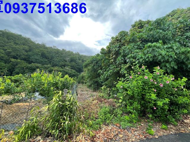 宜蘭員山農地-1