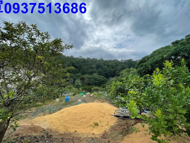 宜蘭員山農地-2