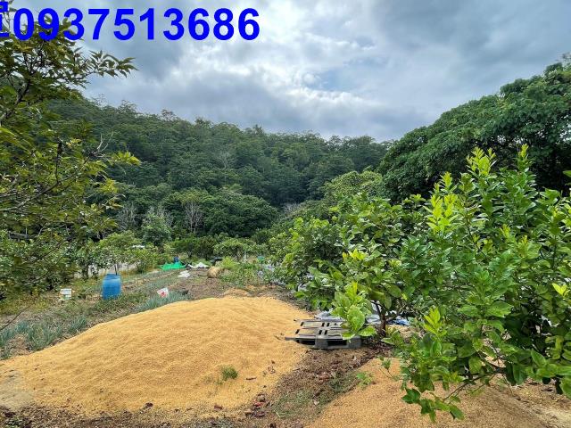 宜蘭員山農地-6