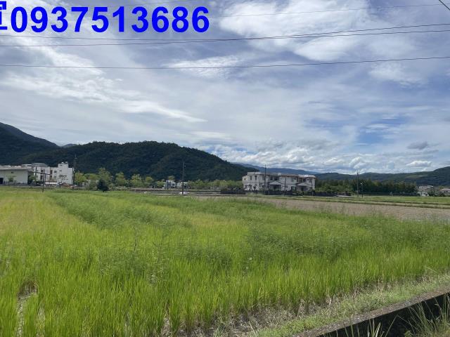 宜蘭冬山農地-0