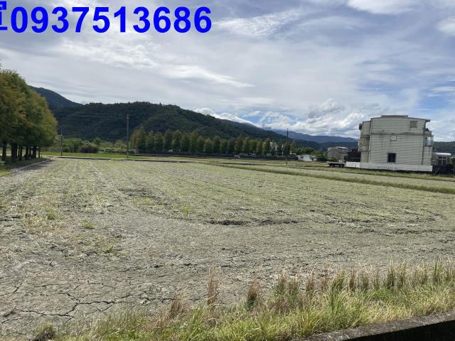 宜蘭冬山農地-6