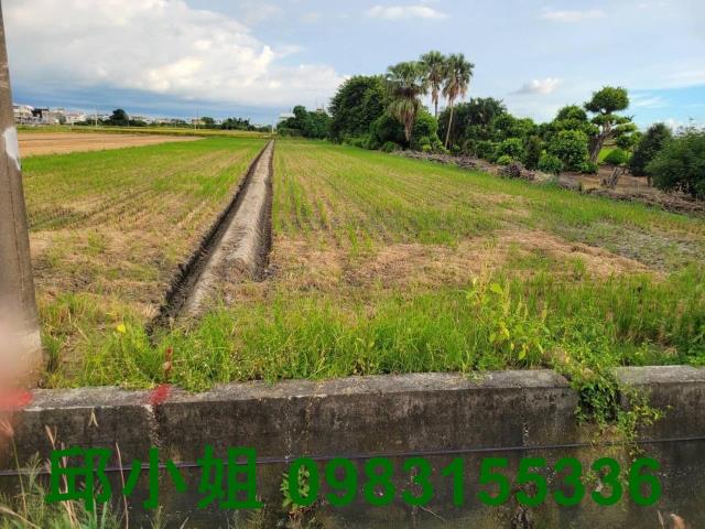 嘉義阿魯米建地農地買賣台灣房屋嘉義湖子內店富鑫團隊呂昆佩