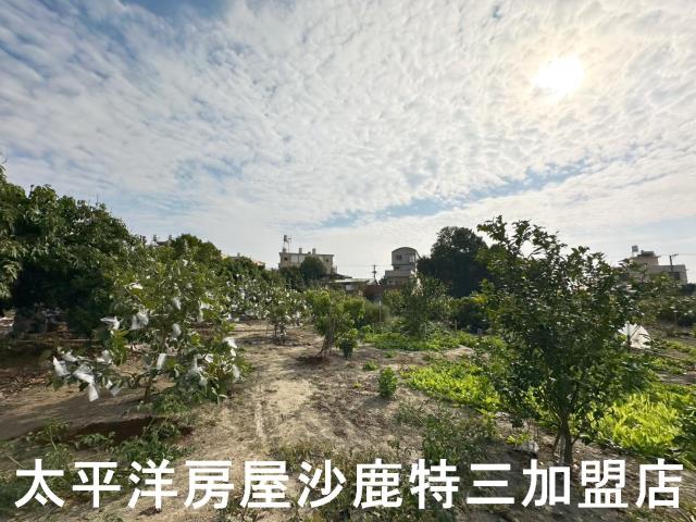 彰化溪湖埔鹽埤頭二林秀水福興建地工業用地田地農地店面透天別墅