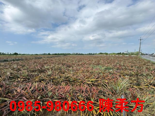 嘉義大林農地-13