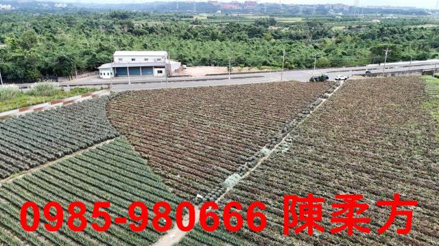 嘉義大林農地-1