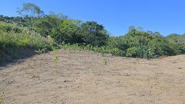 新竹北埔農地-6