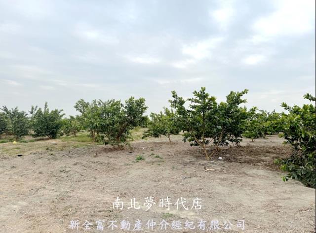 高雄湖內農地-2