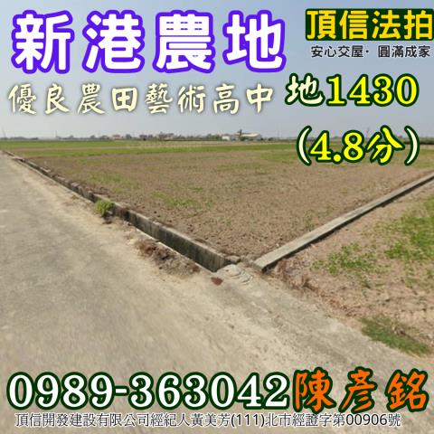 新港法拍農地-0