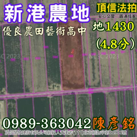 新港法拍農地-2