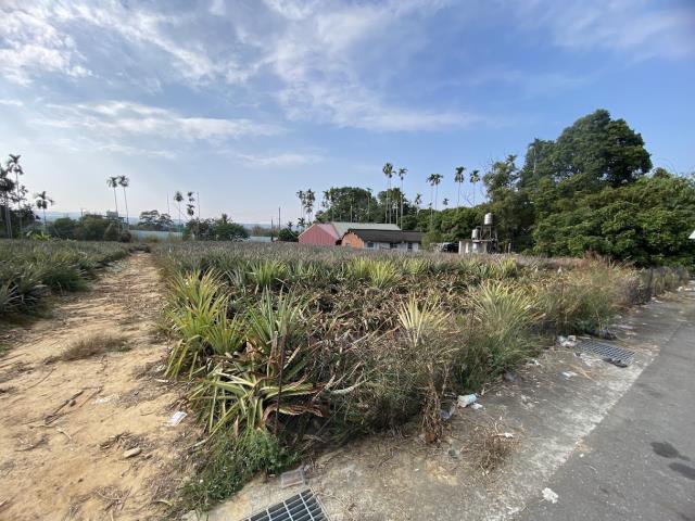 南投鹿谷溪頭農地資材室