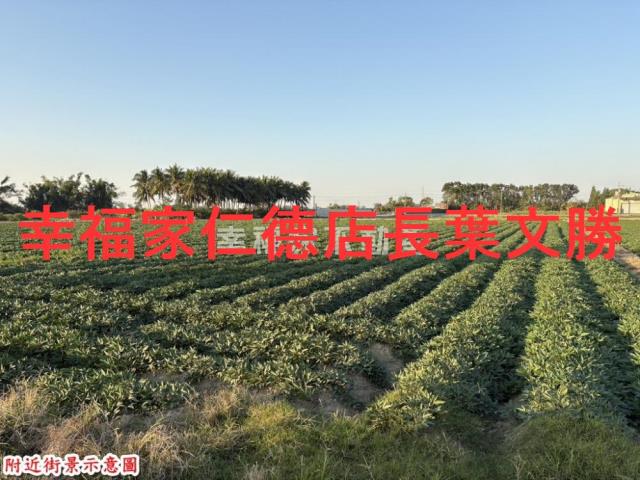 台南農地-5