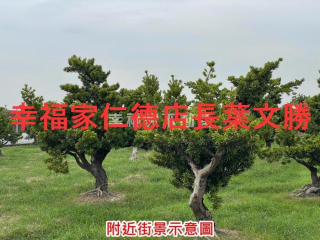 台南農地-6