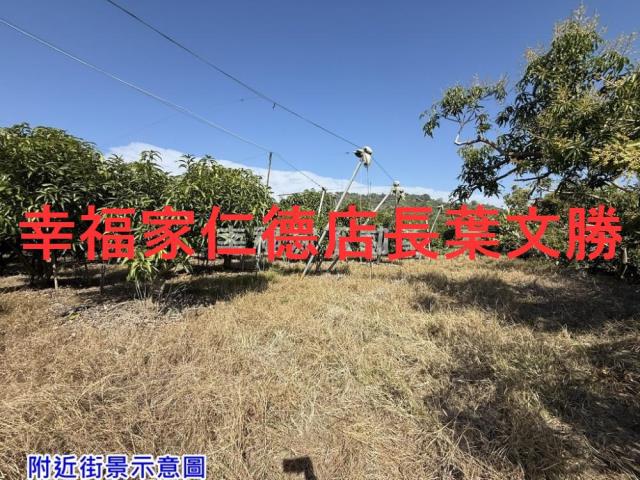 台南農地-13
