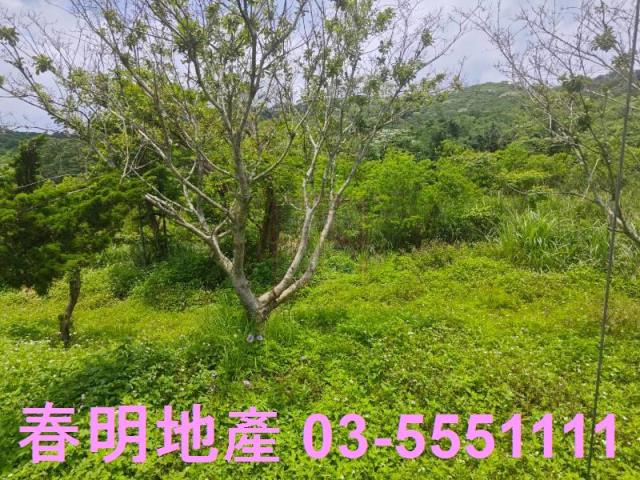 尖石石上湯屋旁合法農舍及露營區