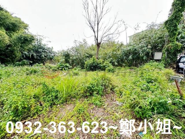 桃園八德農地-0