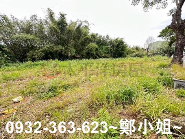 桃園八德農地-2