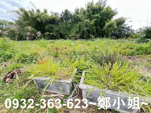 桃園八德農地-4