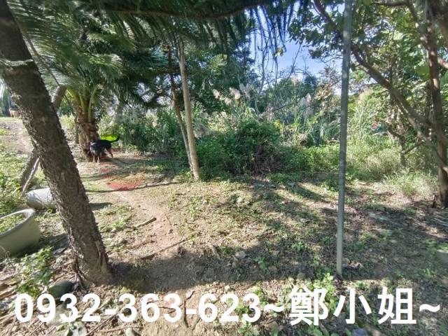 桃園桃園區農地-0