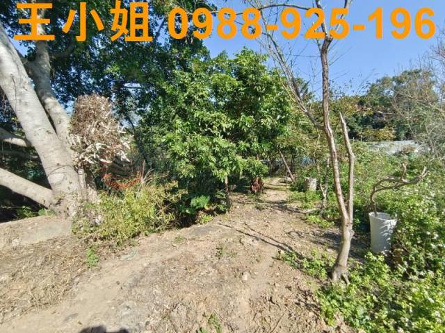 桃園桃園區農地-0