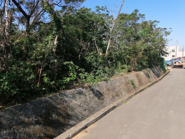 桃園中壢農地-7