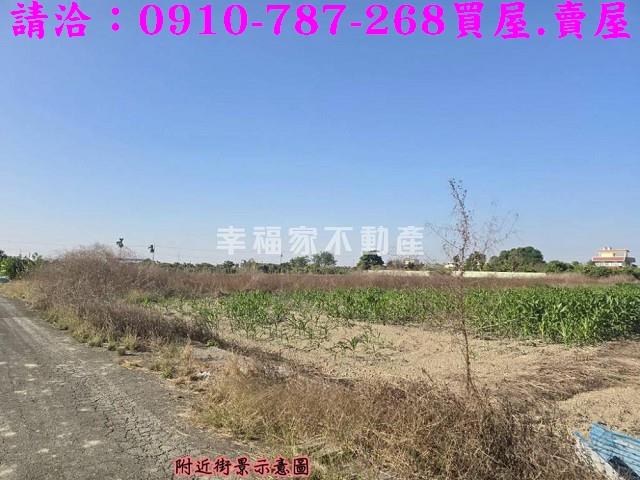 東山農地-2