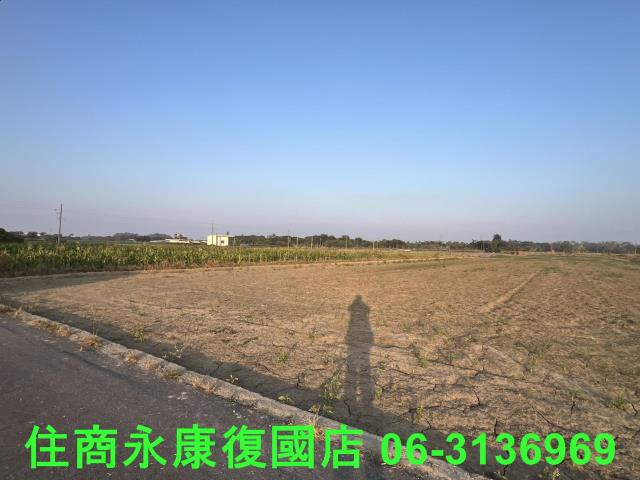 善化農地-4