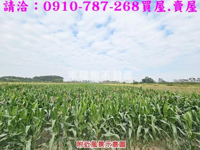 善化農地-9