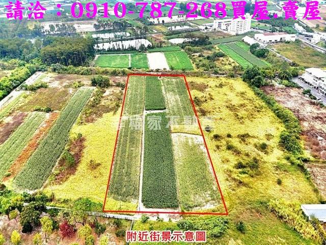 善化農地-1