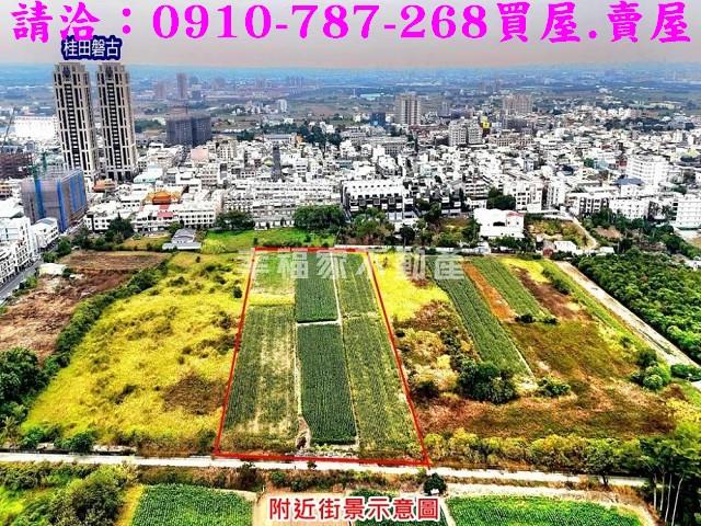 善化農地-2